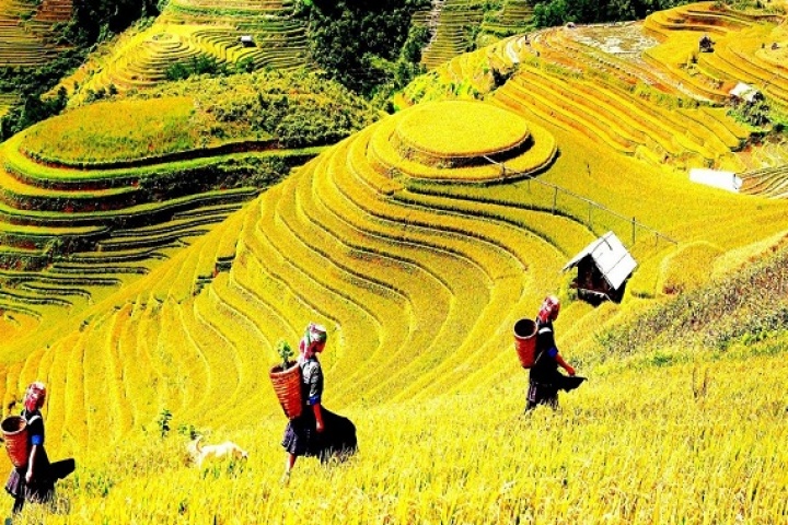 6-Days Hanoi – Sapa – Ha Long Authentic Package Tour