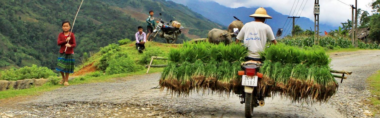 Vietnam Local life tours