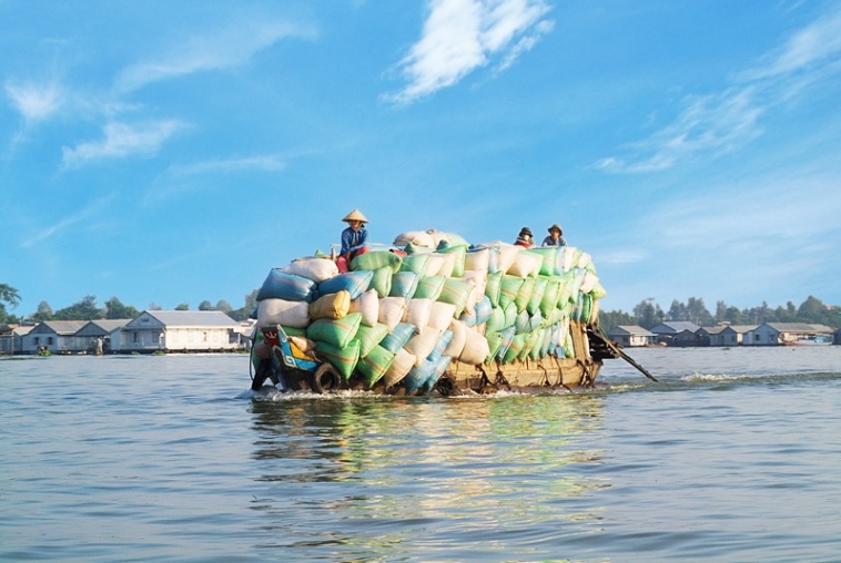 Boat-carries-rice-800x535