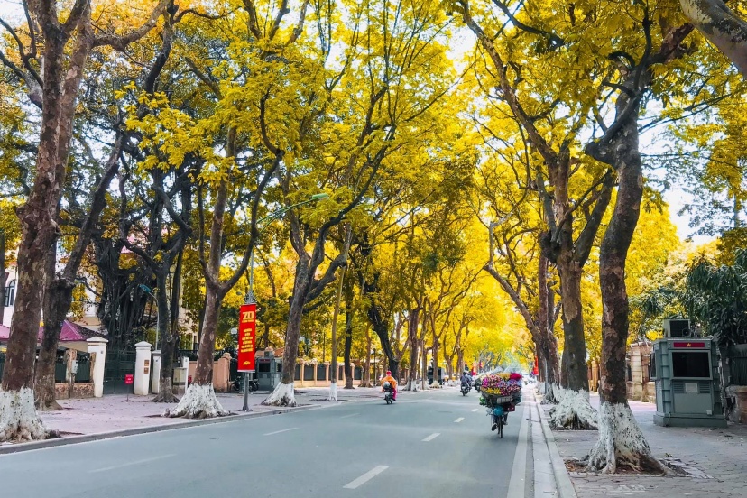 Discover The Top Things That Create A One Of A Kind Beauty Of Hanoi Autumn