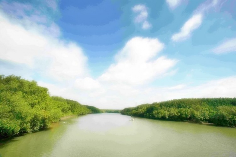 Can Gio Biosphere Reserve And Monkey Island Tour In A Whole Day