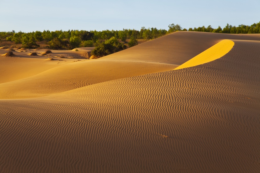 Experience The Amazing Red Sand Dune