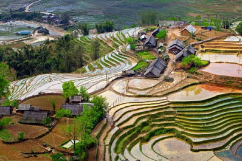 Trekking For A Day In The Mountains Of Sapa, Vietnam