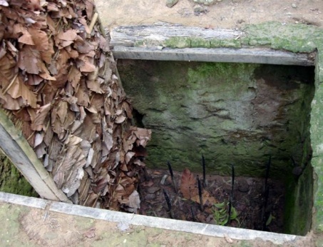 New Experience Traveling To Cu Chi Tunnels By Boat And Bus