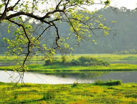 Private 2 Days Exploring Cat Tien National Park