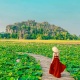 Hoa Lu - Tam Coc - Mua Cave - Bai Dinh - Trang An Full Day Tour