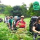 Full Day Hike In Yok Don National Park Tour