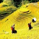 6-Days Hanoi – Sapa – Ha Long Authentic Package Tour